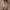 Staccato SC7 SP23 W SX292 Women's Tote
Bags - Beige - Beige photo 3