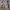Jam Tangan Minus photo 3