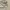 Adidas simple logo photo 6