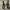 DR. MARTENS X EVISU WAGARA TATTOO SLEEVE KOI FISH Boots Wome photo 6