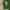 Japanese brand Vintage Y2K Shirt Wanita green photo 4