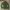 Japanese brand Vintage Y2K Shirt Wanita green photo 1