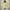 Groove Rhyme Canvas Outter Jacket size M photo 2
