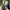 Groove Rhyme Canvas Outter Jacket size M photo 7
