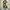 Groove Rhyme Canvas Outter Jacket size M photo 4