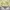 Groove Rhyme Canvas Outter Jacket size M photo 6