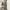 Japanese brand Streetwear Jeans Pria green photo 9