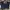 Dickies Cargo Pants Dark Navy photo 2
