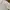 TED BAKER LONDON WHITE LINEN LONG SLEEVE SHIRT photo 6