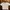 Crop Top Shirt