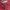 Columbia Sportswear Windbreaker Pria red photo 3
