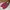Adidas Casual Boots Pria red photo 3