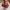 Adidas Casual Boots Pria red photo 4
