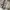 Herschel Fourteen Hip Pack in Light Grey Crosshatch photo 6