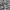 Carhartt Rugged Cargo Pendek Camo  photo 8