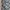 Carhartt Rugged Cargo Pendek Camo  photo 6