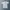 Kapital Kountry Streetwear Grunge T-shirt Pria gray photo 1