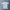Kapital Kountry Streetwear Grunge T-shirt Pria Gray