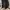 Jual wig bekas konten  model bob hitam ombre abu2 photo 2