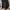 Jual Wig Bekas Konten  Model Bob Hitam Ombre Abu2