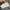 DREAMFLY Japan Pocket Windstopper Hooded Gorpcore photo 8