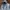 DREAMFLY Japan Pocket Windstopper Hooded Gorpcore photo 4