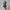 FUBU Y2K Sportswear Hoody Pria gray photo 3