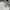 FUBU Y2K Sportswear Hoody Pria gray photo 5