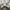 Casual Hoody Pria green gray photo 4