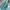 Teal Outer photo 3