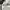Backpack Von Dutch photo 6