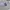 Nike Streetwear Skater Hoody Pria gray photo 3