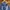 Levis painted 503 jeans photo 5