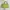 LUELLA leather green handbag photo 2