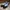Adidas Casual Sneakers Pria black photo 3