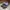 Adidas Casual Sneakers Pria multicolor brown photo 3