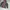 UNIQLO RED/BLACK REVESIBLE JACKET | OUTERWEAR | KDU photo 2