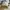 Vans Authentic 44DX Anaheim Factory Checkerboard photo 6