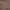 Quicksilver brown stripped white top photo 4