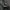 DAZY BLACK PUFFER DACRON CROP JACKET | OUTERWEAR | KDU  photo 5