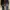 Flat Shoes Zode  photo 4