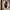 Flat Shoes Zode  photo 5