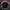 Pelle Pelle Streetwear Y2K Track Jacket Pria Red Black
