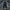 Sean John Streetwear Y2K Jeans Pria navy photo 1