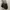 Sophie Paris Two-Tone Structured Tote Bag photo 4