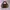 Gucci Luxury Wanita brown photo 5