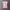ZARA Y2K Indie T-shirt Wanita pink photo 2