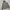 Stone Island Coquette Casual Sweatshirt Pria gray photo 1