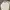 Dunlop Vintage Casual Polo shirt Pria gray photo 1
