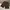 Unknown brown baggy jorts photo 2